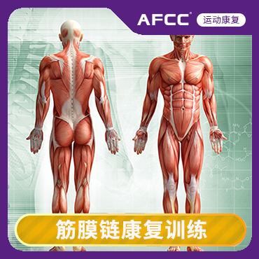 上海筋膜链康复课程